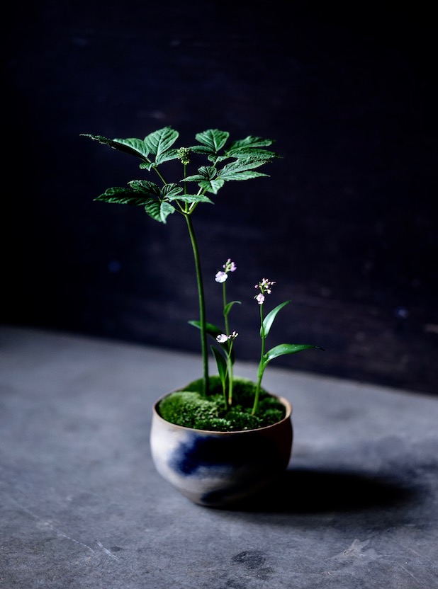 母の日の贈り物 花屋 みたて